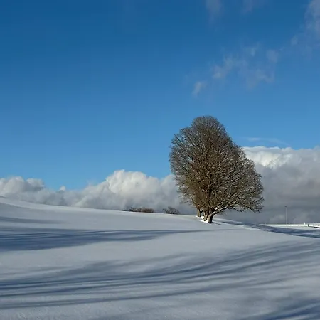Le Nid Du Sentier Le Chenit